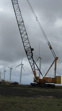 Crane inspection in Hawaii